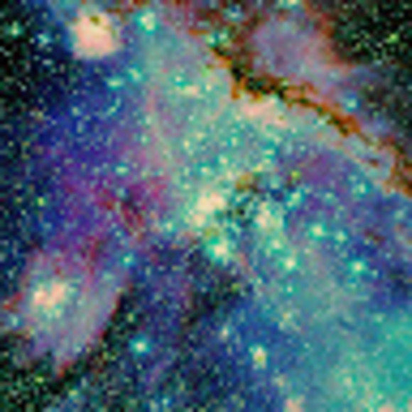 Meet your Posher, Sara - Picture 1 of 1